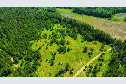 Tract 1 - Tbd Hubbard Line Rd, Menahga, MN 56464 - Photo 18