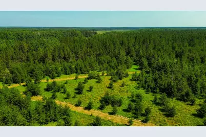 Tract 1 - Tbd Hubbard Line Rd, Menahga, MN 56464 - Photo 20