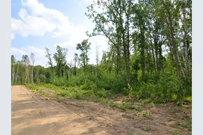 Xxx Firewood Trail, Park Rapids, MN 56470 - Photo 8