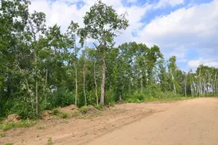 Xxx Firewood Trail, Park Rapids, MN 56470 - Photo 1
