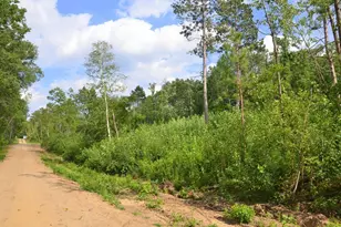 Xyz Firewood Trail, Park Rapids, MN 56470 - Photo 1