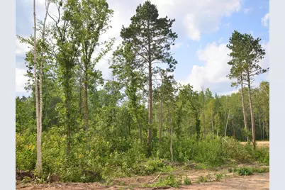 Xyz Firewood Trail, Park Rapids, MN 56470 - Photo 6