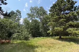 6845 Dickinson Dr NW, Bemidji, MN 56601 - Photo 48