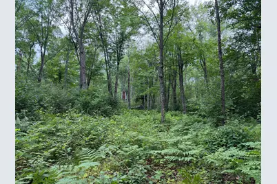 Tbd Shady Pine Road, Bruno, MN 55712 - Photo 8