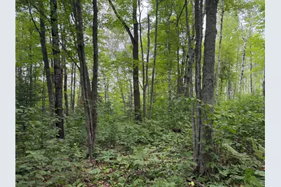 Tbd Shady Pine Road, Bruno, MN 55712 - Photo 4