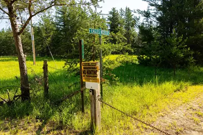 Tract 2 - 39794 259th Ave, Menahga, MN 56464 - Photo 16