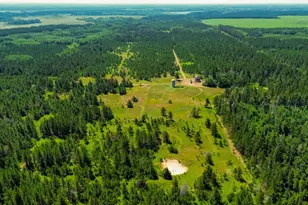 Tract 2 - 39794 259th Ave, Menahga, MN 56464 - Photo 1
