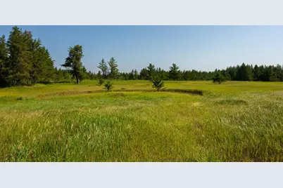 Tract 2 - 39794 259th Ave, Menahga, MN 56464 - Photo 32