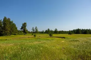 Tract 2 - 39794 259th Ave, Menahga, MN 56464 - Photo 32