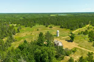 Tract 2 - 39794 259th Ave, Menahga, MN 56464 - Photo 12