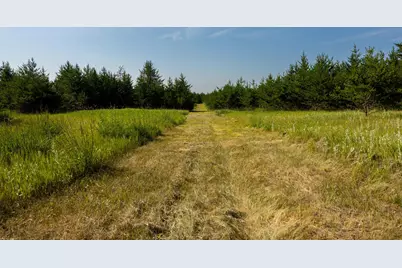Tract 2 - 39794 259th Ave, Menahga, MN 56464 - Photo 26