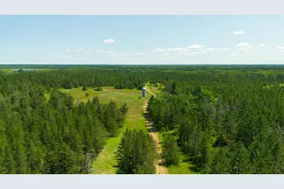 Tract 2 - 39794 259th Ave, Menahga, MN 56464 - Photo 14