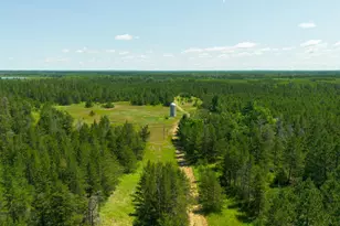 Tract 2 - 39794 259th Ave, Menahga, MN 56464 - Photo 14