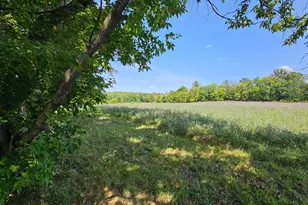 460 Ash St, Gonvick, MN 56644 - Photo 48