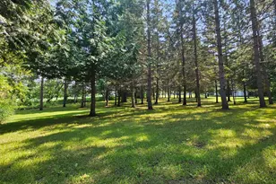 460 Ash St, Gonvick, MN 56644 - Photo 42