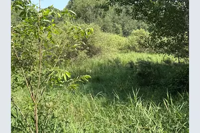 29910 County 109, Menahga, MN 56464 - Photo 28