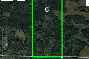 29910 County 109, Menahga, MN 56464 - Photo 1