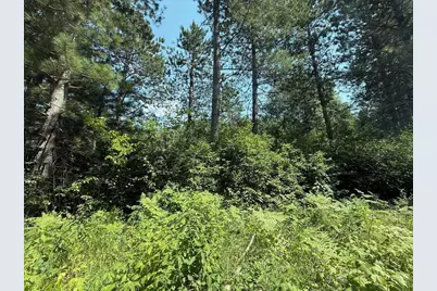 29910 County 109, Menahga, MN 56464 - Photo 24