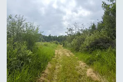 42050 Little Pine Road, Emily, MN 56447 - Photo 114