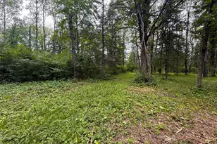 42050 Little Pine Rd, Emily, MN 56447 - Photo 130
