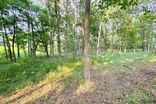 550 Guttenberg Heights, Fergus Falls, MN 56537 - Photo 82