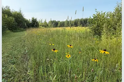 1159 Hwy 83/Overton Rd., Meadowlands, MN 55765 - Photo 34