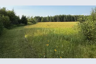 1159 Hwy 83/Overton Rd., Meadowlands, MN 55765 - Photo 36