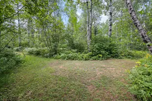 8557 Hwy 21 N, Babbitt, MN 55706 - Photo 28