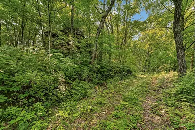27714 County 25 S, Peterson, MN 55962 - Photo 52