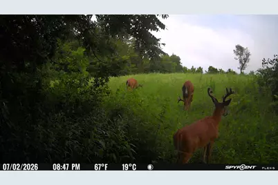 27714 County 25 S, Peterson, MN 55962 - Photo 70