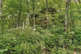 27714 County 25 S, Peterson, MN 55962 - Photo 56