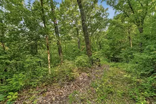 27714 County 25 S, Peterson, MN 55962 - Photo 54