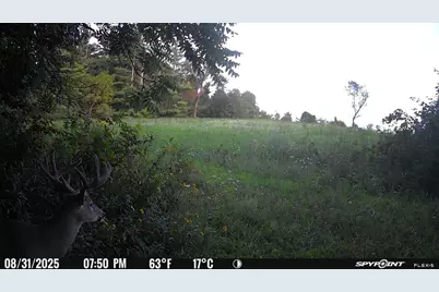27714 County 25 S, Peterson, MN 55962 - Photo 68
