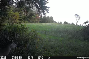 27714 County 25 S, Peterson, MN 55962 - Photo 68