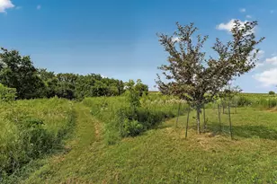 27714 County 25 S, Peterson, MN 55962 - Photo 28