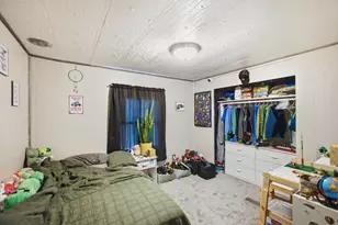 798 Horse Lake Ln, Dresser, WI 54009 - Photo 16