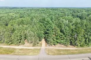 22034 County 2, Nevis, MN 56467 - Photo 36