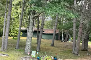 22034 County 2, Nevis, MN 56467 - Photo 38