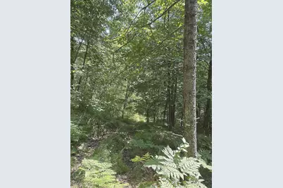 3500 N Historic Road, Weyerhaeuser, WI 54895 - Photo 26