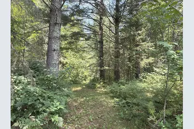 3500 N Historic Road, Weyerhaeuser, WI 54895 - Photo 38