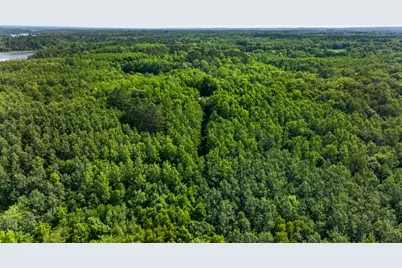 21169 Firefly Trail, Akeley, MN 56433 - Photo 38