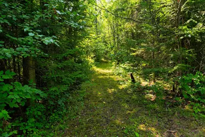 12365 Scenic Highway NE, Blackduck, MN 56630 - Photo 26