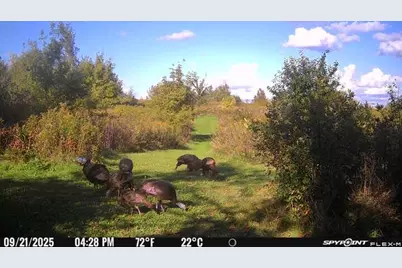 836 County Road D, Woodville, WI 54028 - Photo 30