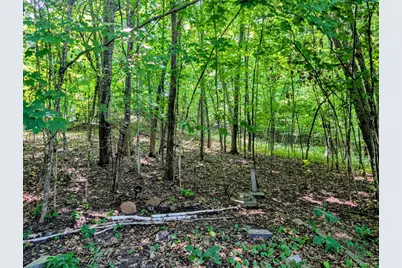 22297 County 38, Long Prairie, MN 56347 - Photo 8