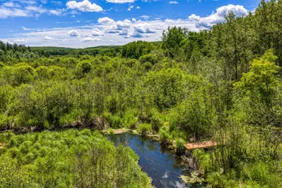 39332 Orchid Trail, Bemidji, MN 56461 - Photo 6