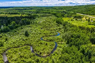 39332 Orchid Trail, Bemidji, MN 56461 - Photo 4