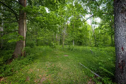 43522 US 71, Bemidji, MN 56461 - Photo 44