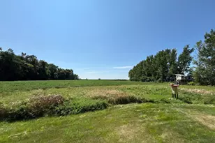 45225 State Hwy 28, Morris, MN 56267 - Photo 10