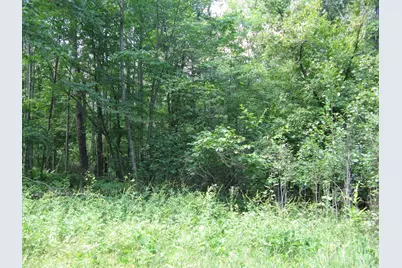 Tbd Alpine Circle, Breezy Point, MN 56472 - Photo 8