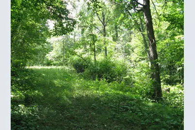 Tbd Alpine Circle, Breezy Point, MN 56472 - Photo 4